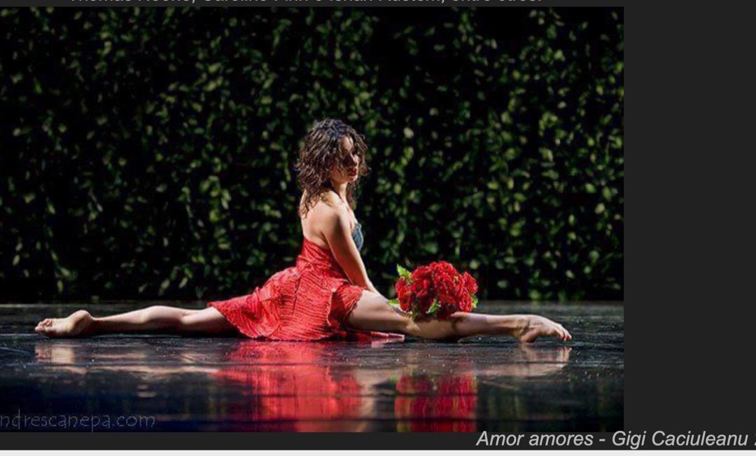 Eccellenze reatine nella danza: Rita Rossi e la sua carriera internazionale – parte seconda.