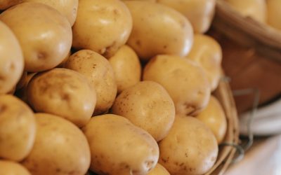 La Patata Leonessana