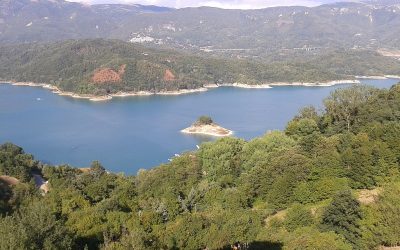 Il lago del Salto: un ambiente tra artificio umano e natura che si rigenera