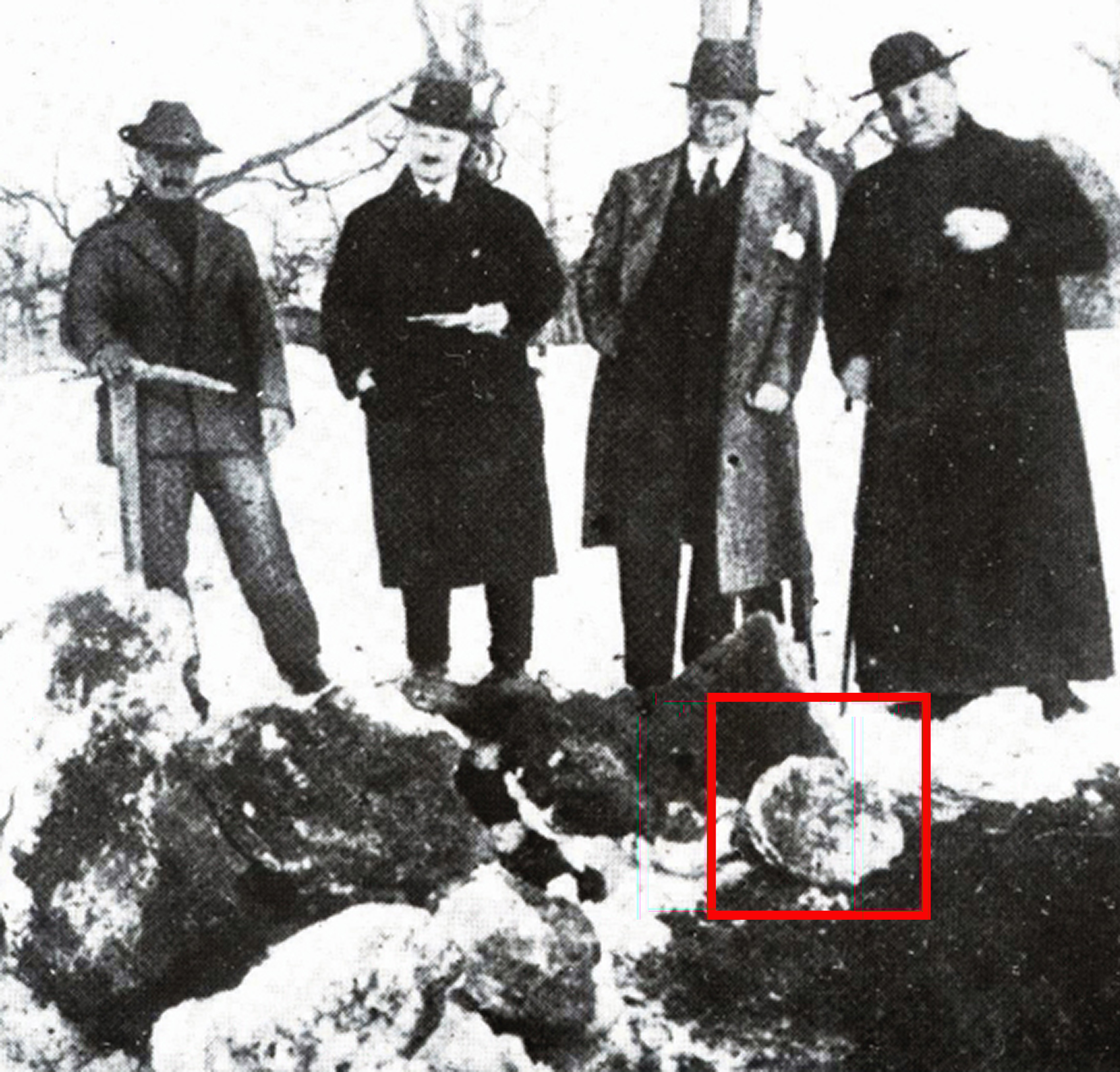 Virili. Figura 5
