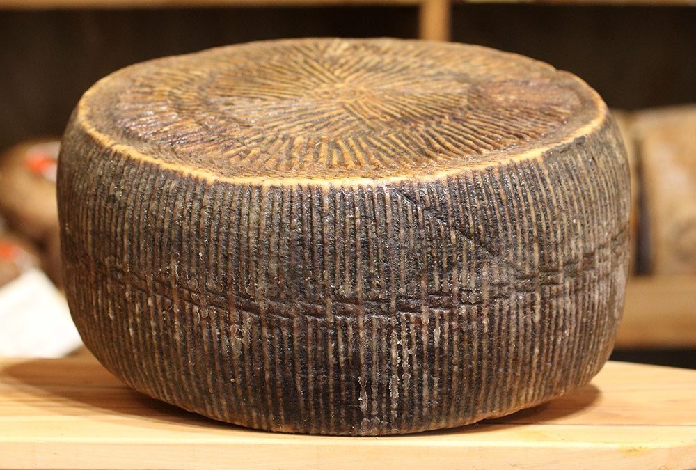 Il Pecorino di Amatrice