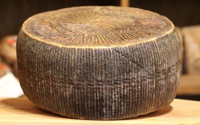 Il Pecorino di Amatrice