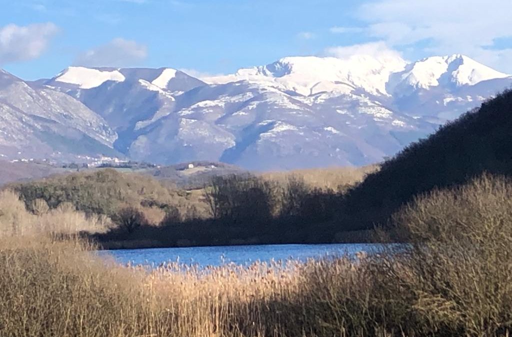 La Giornata Internazionale delle Foreste e la Giornata Mondiale dell’Acqua