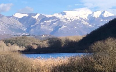 La Giornata Internazionale delle Foreste e la Giornata Mondiale dell’Acqua
