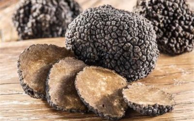 Il tartufo, l’oro nero della Sabina
