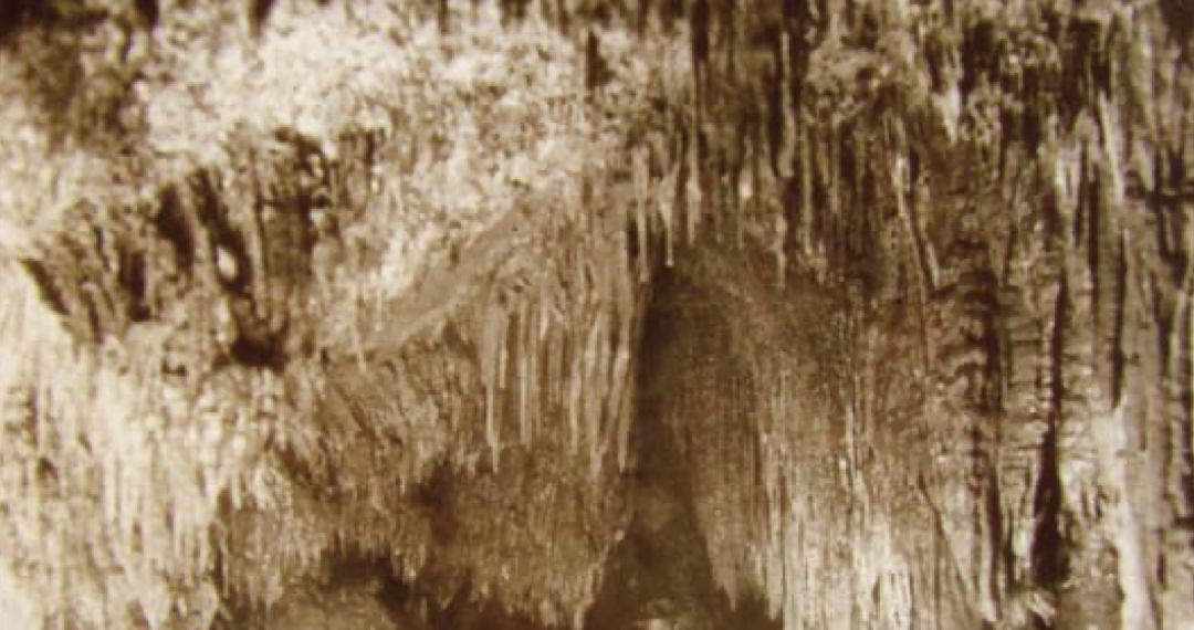 Madonna, Nisio, Gandin 2020 -Le cavità nascoste nei calcereous tufa del sottosuolo di Rieti- Mem. Descr. Carta Geol.d’It.107