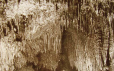 Madonna, Nisio, Gandin 2020 -Le cavità nascoste nei calcereous tufa del sottosuolo di Rieti- Mem. Descr. Carta Geol.d’It.107