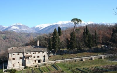 Il Santuario di Santa Maria della Foresta