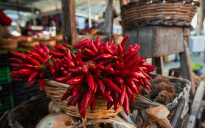 Al via la 12° edizione della Fiera Mondiale del Peperoncino.