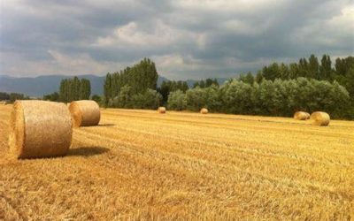 La “caponata” della mietitura a Leonessa