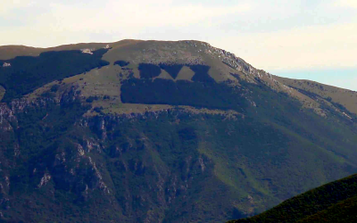 La scritta DVX: sotto le lettere del passato, cresce una nuova foresta.