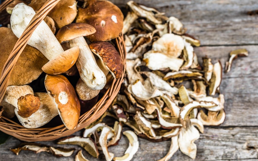 Il Reatino, territorio ideale per i funghi