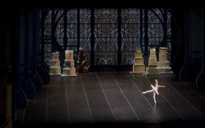 Susanna Salvi superba Fata Confetto