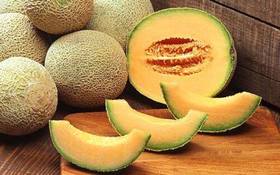 Il cantalupo