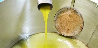 Sabina terra di olio di oliva